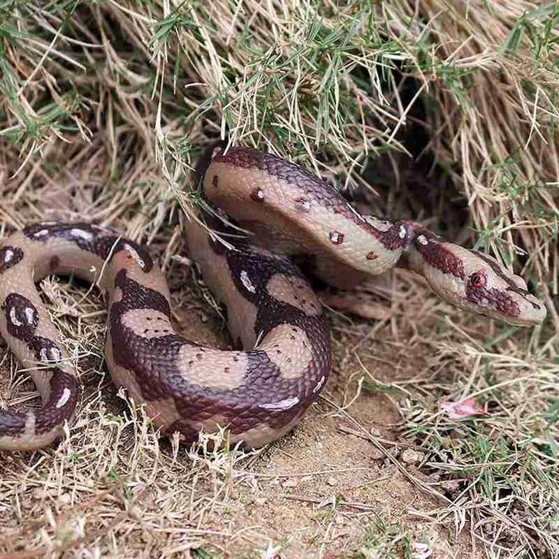 Serpent modèle réaliste enfants jouet réaliste géant jardin Reptile Simulation Simulation serpent modèle Reptile délicat Pran E4Y3