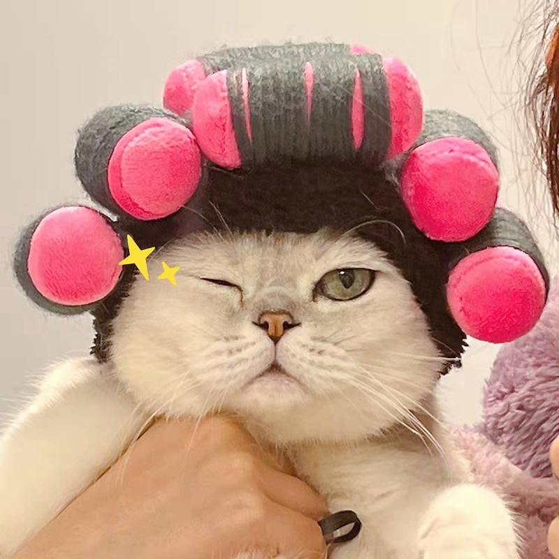 Peluca de gato con rulos para el pelo, Pelo Rizado Adorable, tocado, también adecuado para perros pequeños