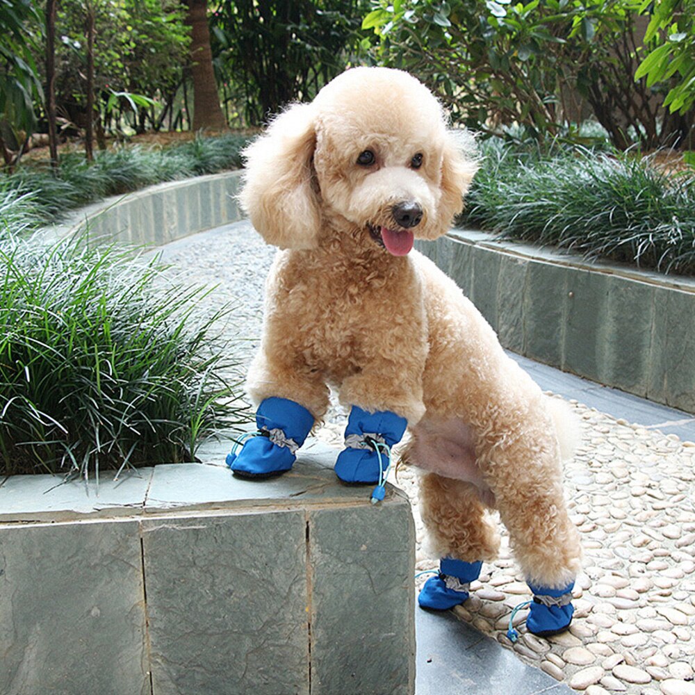 Anti-Slip 4 Stks/set Puppy Regen Snowboots Katten Schoeisel Huisdier Hond Schoenen Waterdichte Sokken Booties Licht