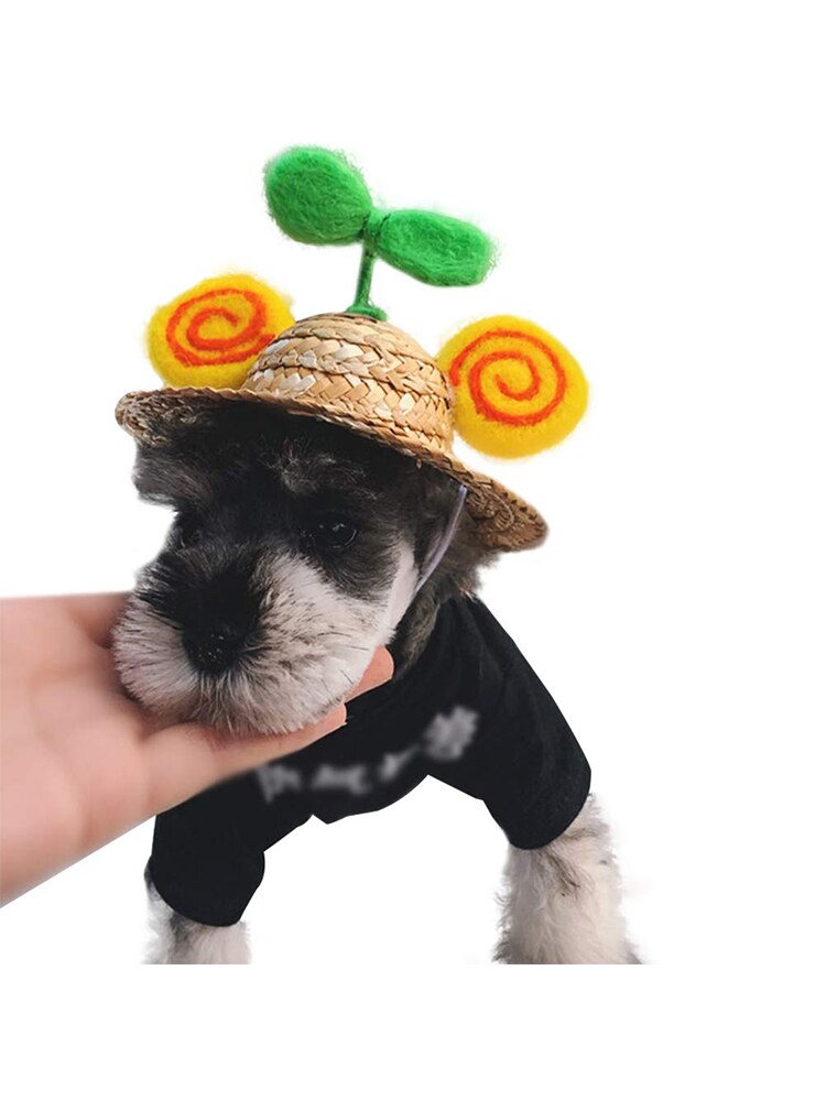Adjustable Pet Sombrero Dog Cat Straw Hat Cute Mini Puppy Sun Bucket Cap for Small Puppy Kitten Supplies: lollipop hat / XS