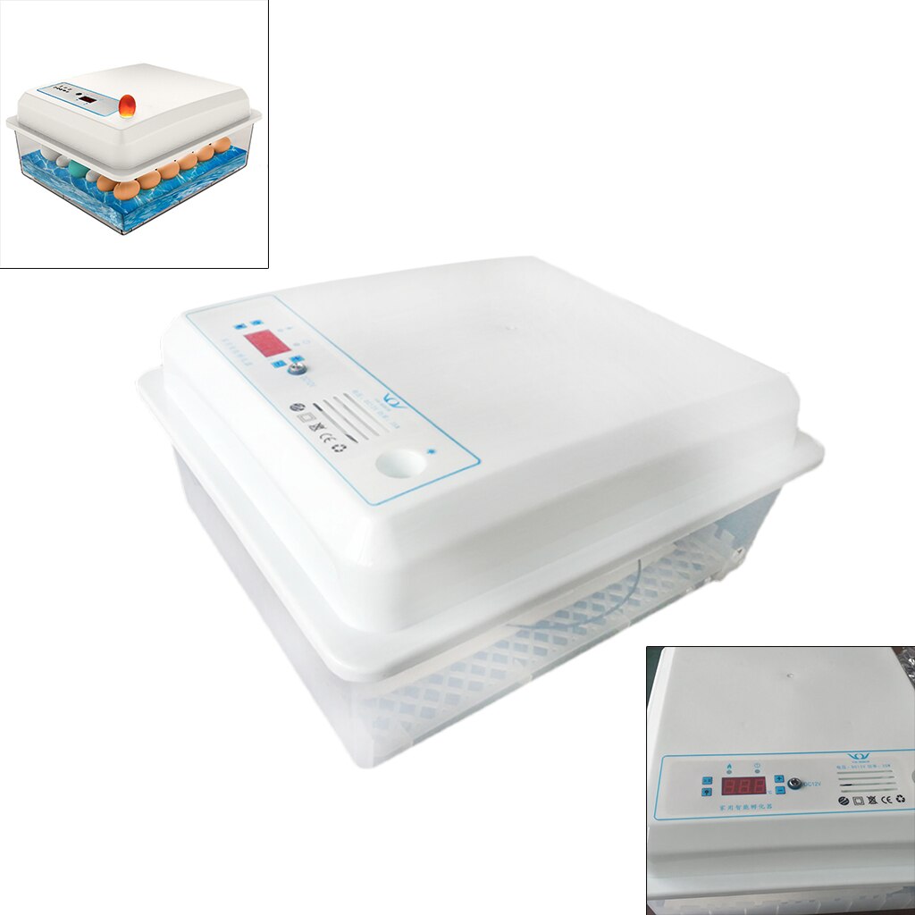 Automatic Egg Incubator Fully for Hatching Eggs Quail Ducks Goose Birds: 50 Eggs