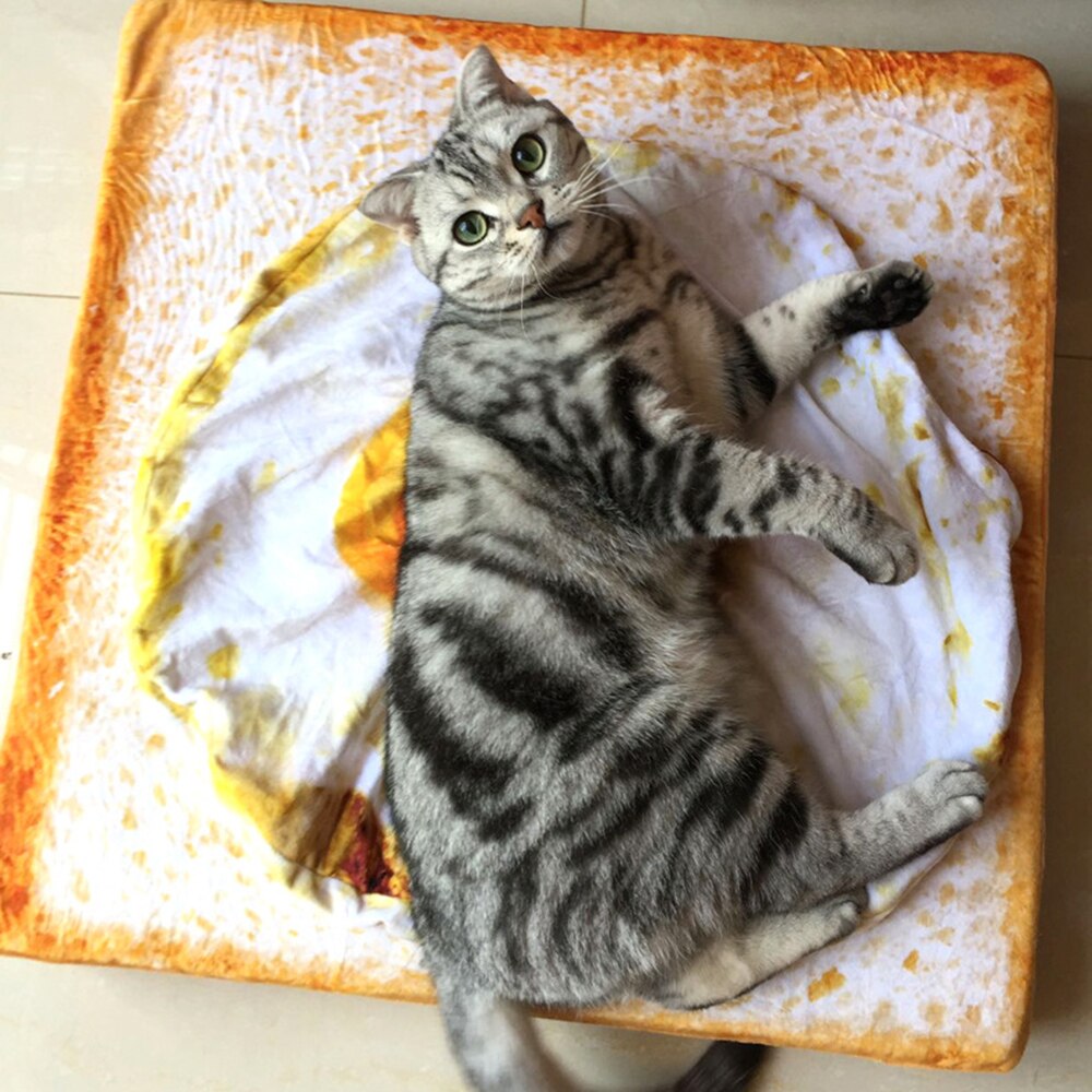 Gato cómoda para cama de perro para dormir, manta de franela suave y cálida para gatos, pan tostado y huevo escalfado, funda de alfombrilla estampada para mascotas, 1 Uds.