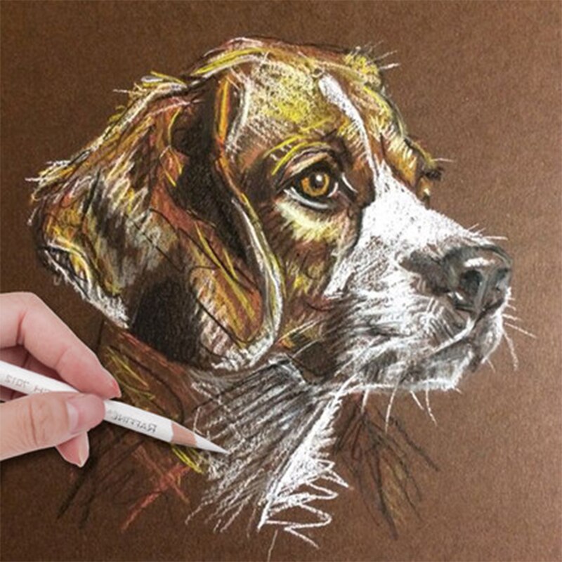 Charcoal Pencil White Charcoal High Light Pen Sketching Pencils Art Supplies Drawing Pencil Soft Medium Hard Charcoal Pencil