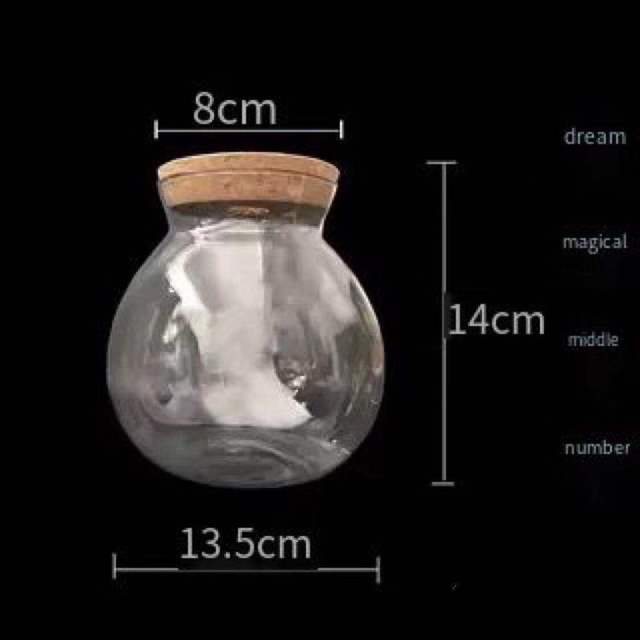 Acuario pequeño para peces, botella ecológica de vidrio para paisajismo, mirador, accesorios para acuarios: Empty bottle M