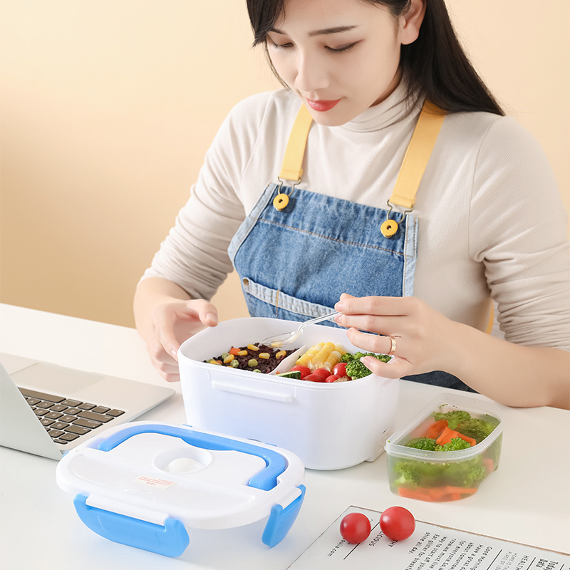 2 in 1 110V 220V 12V 24V Electric Heating Lunch Box Car Office School Food Warmer Rice Box Cooker Container Heater Bento Box Set