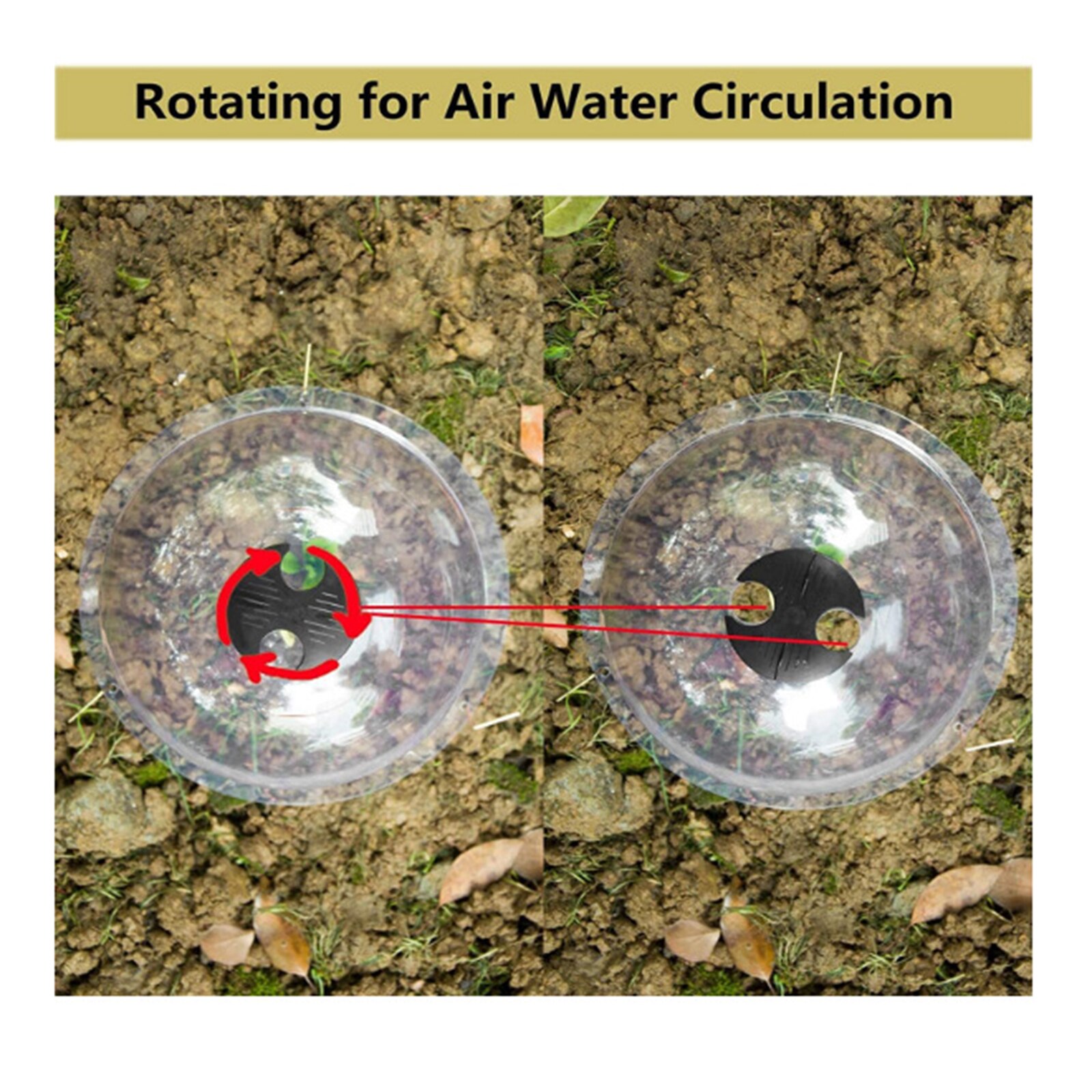 Tuin Cloche Plastic Beschermende Plant Bells Dome Ademend Covers Thermische Isolatie Hydrateren Voor Vetplant Kas