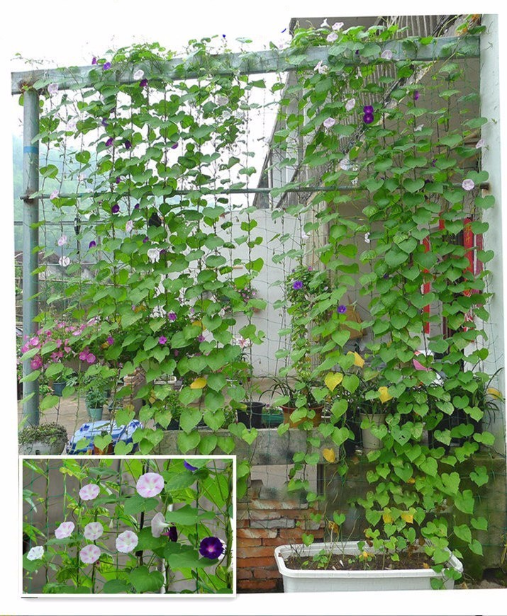 Valla de jardín para plantas frutales, malla de cercado duradera, red para jardín, valla adecuada para soporte, malla de enrejado, herramientas de jardín