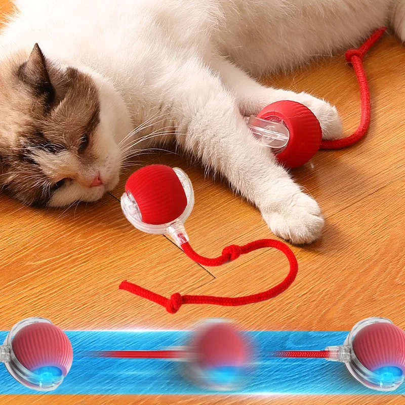 Jouet roulant automatique Rechargeable pour chat, boule intelligente interactive avec chargement USB, jouet électrique mobile pour animaux de compagnie, jeu d'intérieur pour chats/chiens