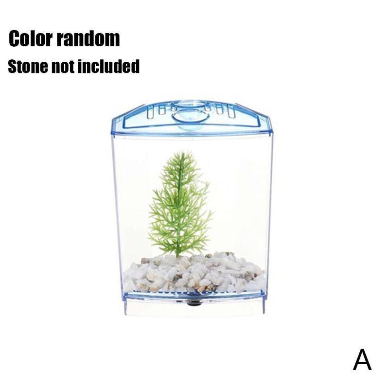 Betta Fish Box Cube Betta Aquarium Box Separate Breeding Tank Seedlings Fish-Breeding-Box Isolation-Box Fish Spawning Aquar Y3W8: Single fighting fish