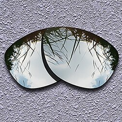 Occhiali da sole polarizzati Lenti di Ricambio per Oakley Occhiali Da Sole Frogskins-Scelte Multiple: Silver Titanium