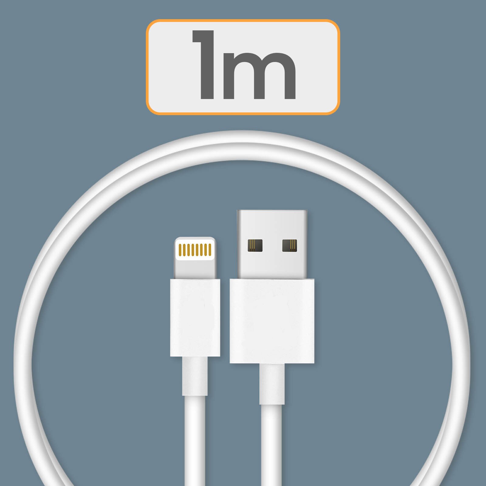 Lightning 5V / 2.4A Bedrade Lader Snel Opladen Compatibel Met Iphone Ipad Datakabel 1M Wit