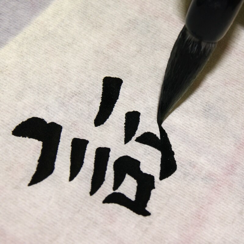 Chinese Calligraphy Pen 3pcs/set Students Multiple Hair Brush Pen Adult Chinese Painting Calligraphy Brushes Tinta China