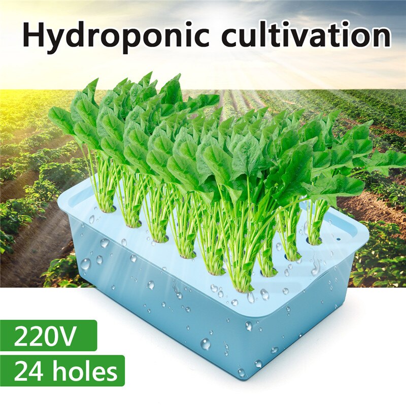 220V 24 Holes Hydroponic System Kit Indoor Aerobic Soilless Cultivation Water Planting Grow Box