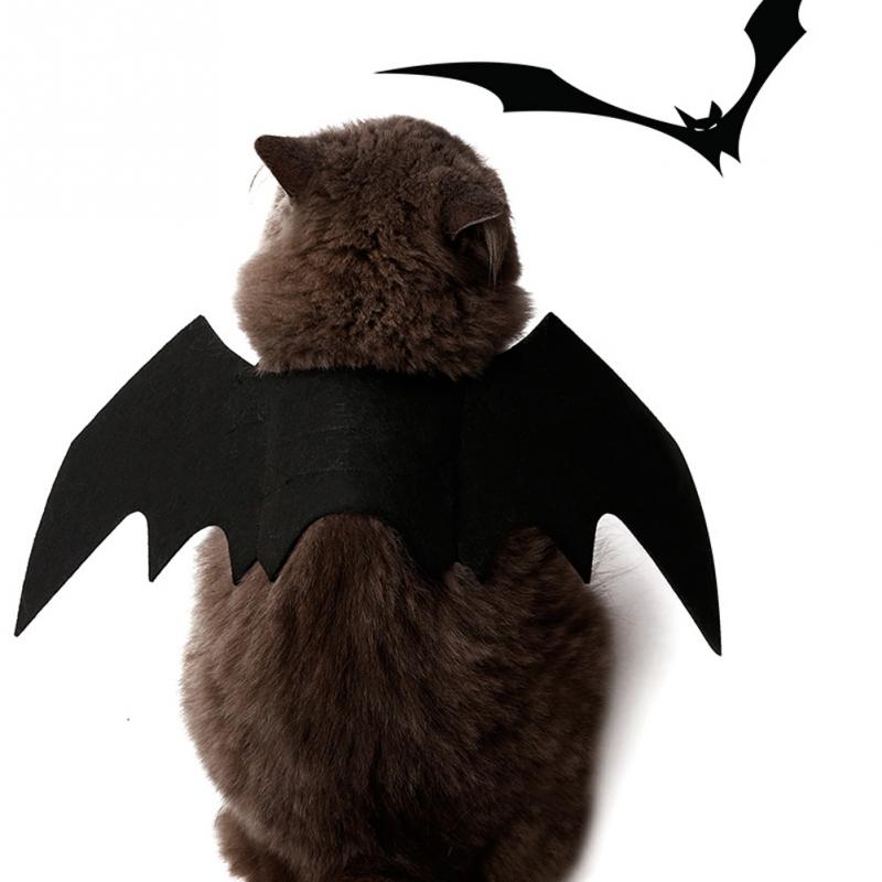 Fladdermusvingar vampyr katt kläder svart söt utsmyckning hund halloween julfest kostymer roliga kläder