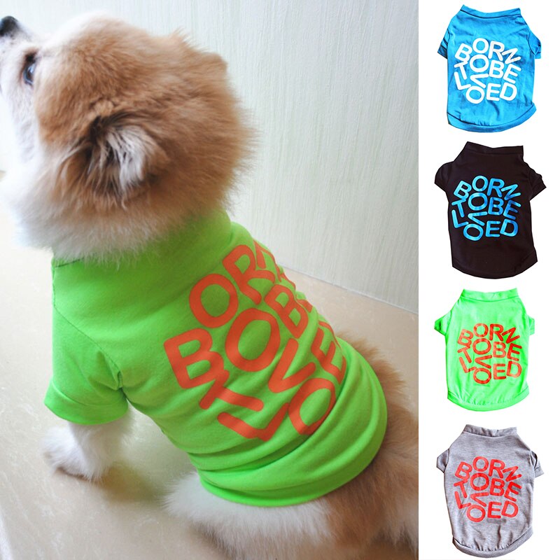 Animal de compagnie chat Costume petit chien chat vêtements mignon chiot chat chaton T-shirt été gilet chemise vêtements pour le printemps et l'été