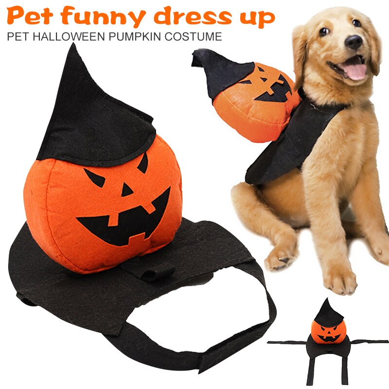 Haustier Hund Halloween Kürbis Kostüm Kürbis Ritter mit Magier Hexe Hütte Hund Bekleidung Kostüm