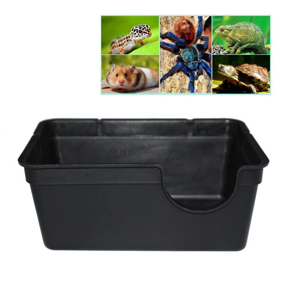 Små reptiler husdjur leksaker gecko ormskydd hus mat vatten skål grotta klättring låda