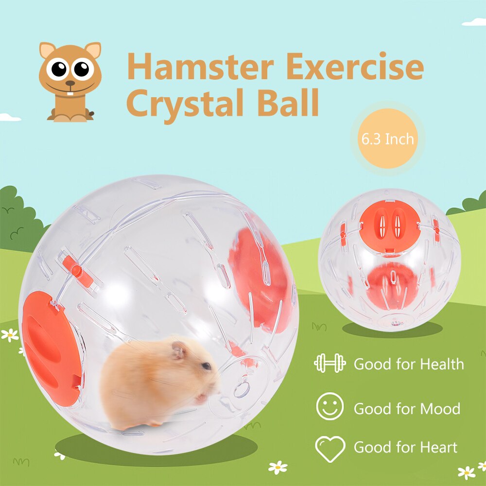 Hamster treningsball 6.3 tommer klar hamster løpeball kjæledyr gnager mus joggeball leketøy hamster gerbil rotte treningsballer