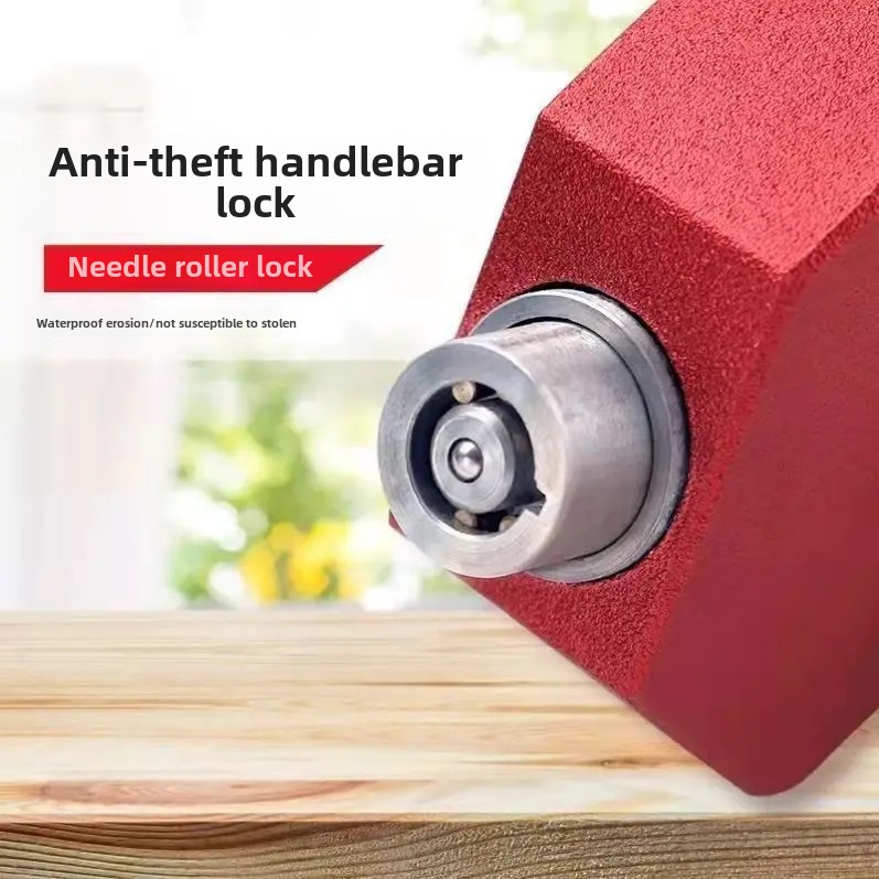 Anti-diefstal Handig autosleutelslot Elektrische fiets Motoroliepedaalslot Remslot Flesvormslot Auto-accessoires