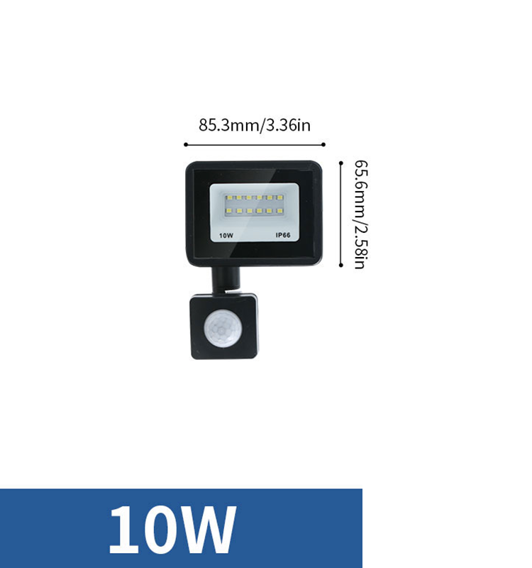 Led Floodlight 50W 100W AC220V Reflector Flood Light Waterproof Ip66 Garden Spotlight Pir Motion Sensor Wall Outdoor Lighting: Beige / Blue / 5600K