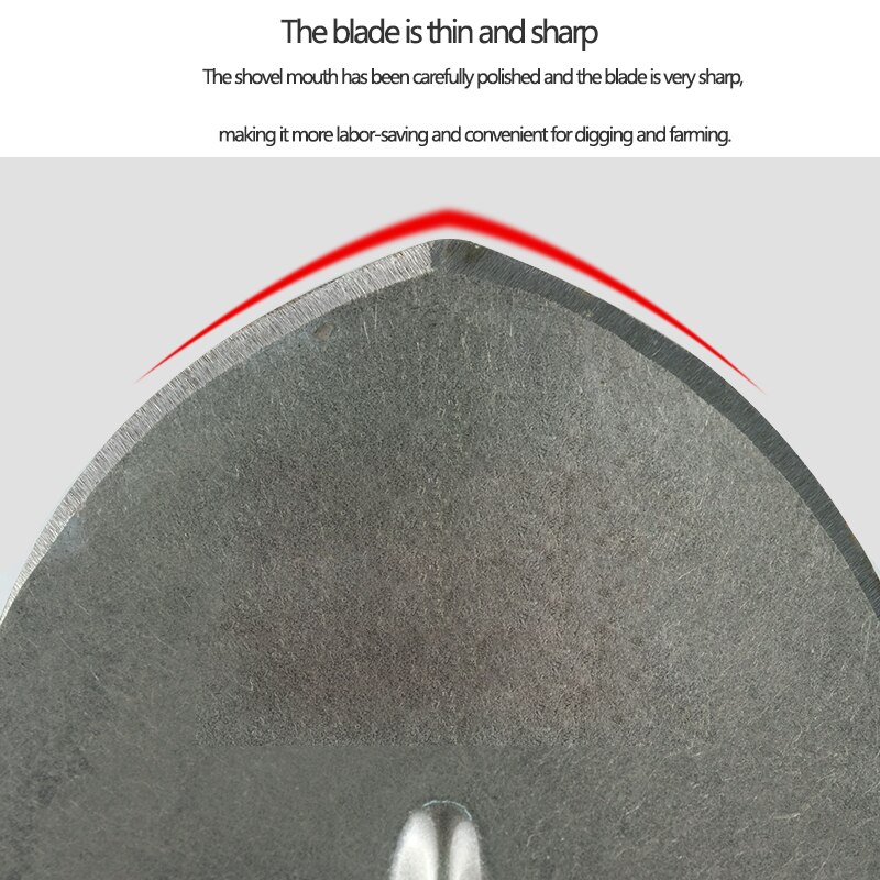 Alloy Steel Shovel Agricultural Farming Construction Processing Tree Transplanting Digging And Weeding Garden Hand Tools