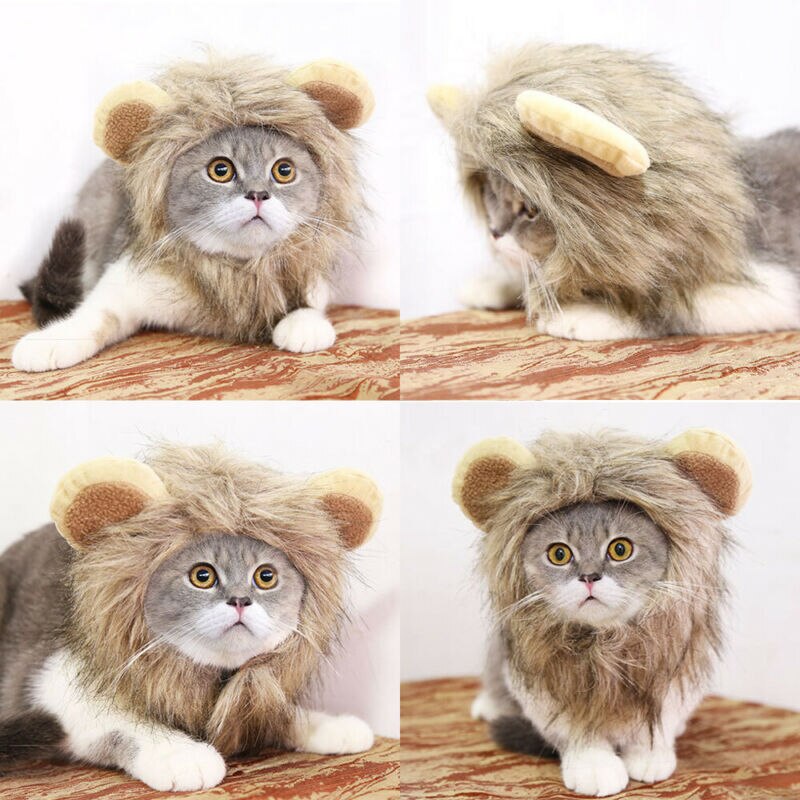 Chapeau crinière de Lion pour animal de compagnie, chapeau pour chien et chat, amusant et , adapté pour l'hiver