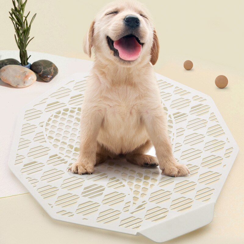 Arenero de plástico con geométrico para perros, Arenero de plástico colorido para entrenamiento de mascotas en interiores
