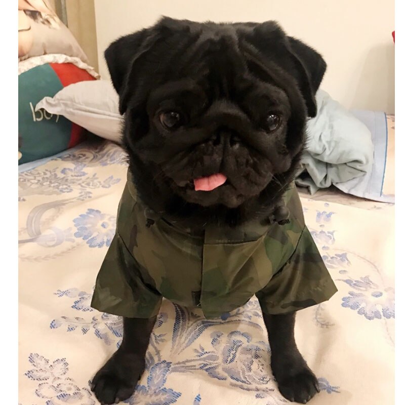 9 Size Dog Raincoat For Fat Dogs French Bulldog Pug Camouflage Waterproof Rain Coat Jacket Costumes Clothing Outwear Raincoats#1