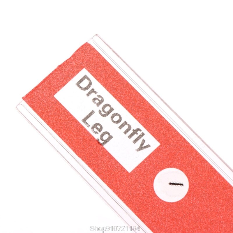 12 Pcs Prepared Microscope Slides Set Specimen For Student Basic Biology Education