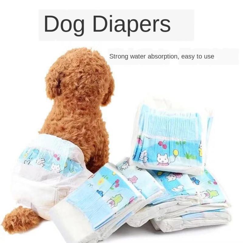 Productos para mascotas, pañales para perros, productos para mascotas transpirables, suministro de perrito Teddy, Protección cómoda, pantalones fisiológicos para la salud