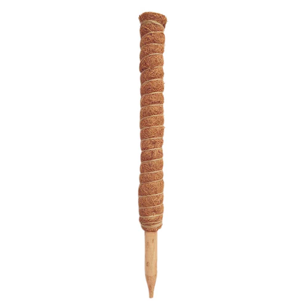 Ranka spaljé ram trädgård kokos fiber hem inomhus balkong klätterväxter pinne behålla fukt förlängning kokos totempåle: 50cm