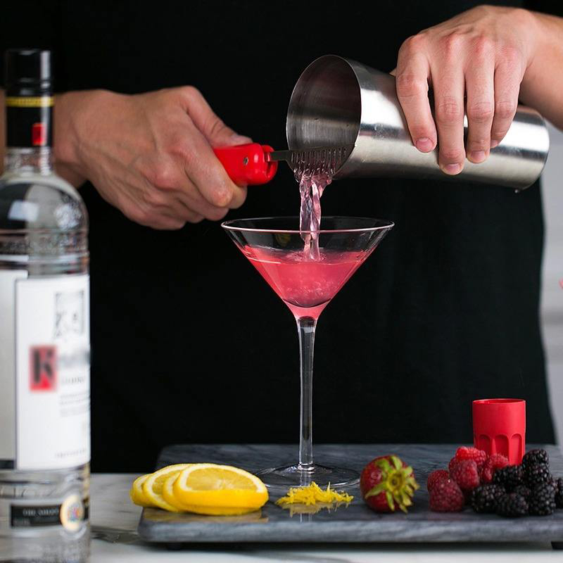Premium Cocktail Shaker Bar Tools Set (11 piece) Stainless Steel Bartender Kit, with Many Bar Accessories Reusable Ice Cubes
