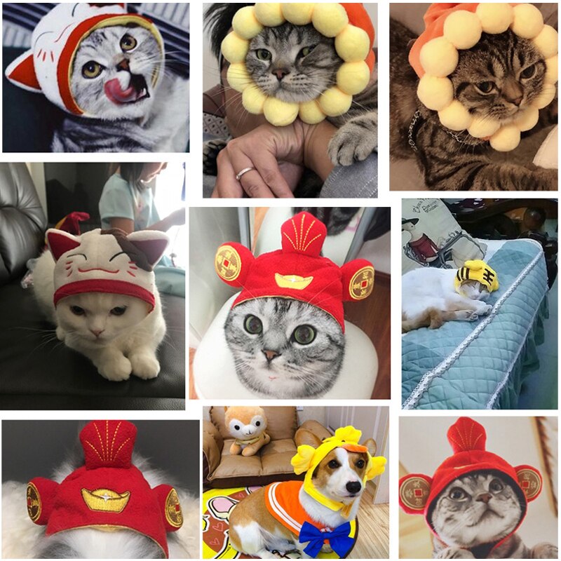 Cão de estimação roupas de gato traje de halloween chapéu de gato cachecol terno manto vestir-se ano novo traje de animal de estimação roupas de natal maschas