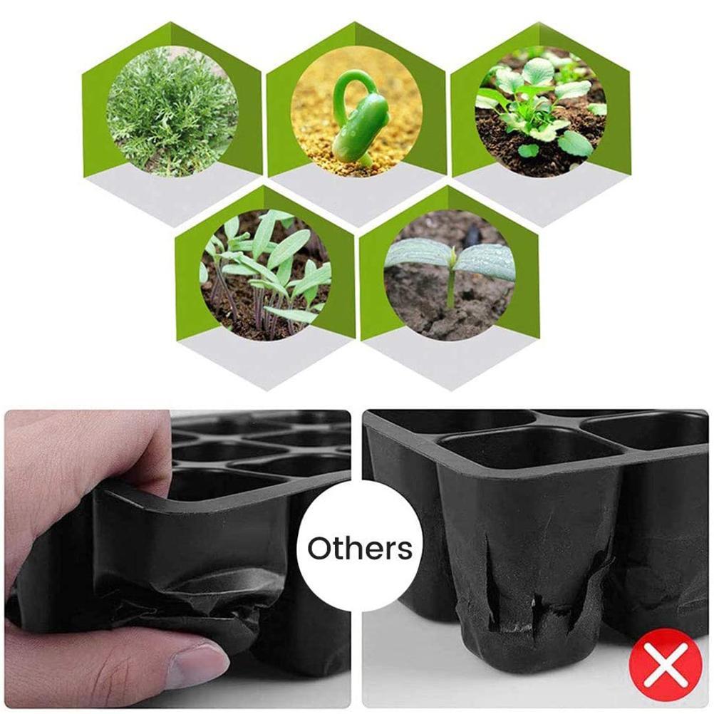 Greenhouse Propagation Box 12 Cells Greenhouse Propagation Tray Indoor Mini Greenhouse Propagation Set with Lid and Ventilation