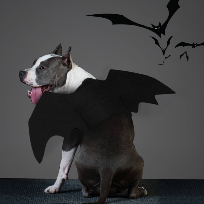 Costume Cosplay ailes de chauve-souris pour chat | Tissu feutré pour animaux domestiques, déguisement chiens chats de jeu, accessoires d'animaux mignons, vêtements d'halloween