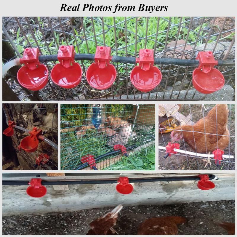Bebedero de agua para pollos, 30 juegos de gallinas, bebederos automáticos para aves, bebederos para gallineros, bebederos para aves, bebederos, herramientas de granja