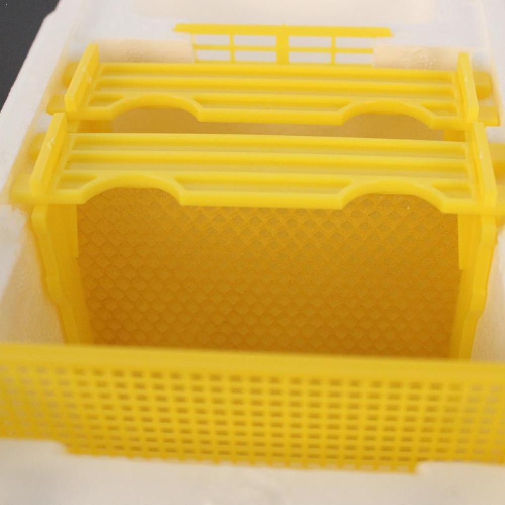 Hause Bienenstock Kasten Ernte Biene Bienenstock Bienenzucht König Kasten Königin Bienenzucht Bienenstock Biene biene Werkzeug Schaum Bestäubung Kasten Ernte m6M3