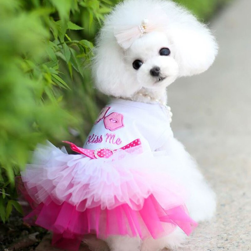 Cute Puppy's Cotton Princess Dress Comfortable Lovely Dog Pets Dress Print Dog Cat Skirt Pink Blue Lace Dress Pet Clothes XS-2XL: Pink / L