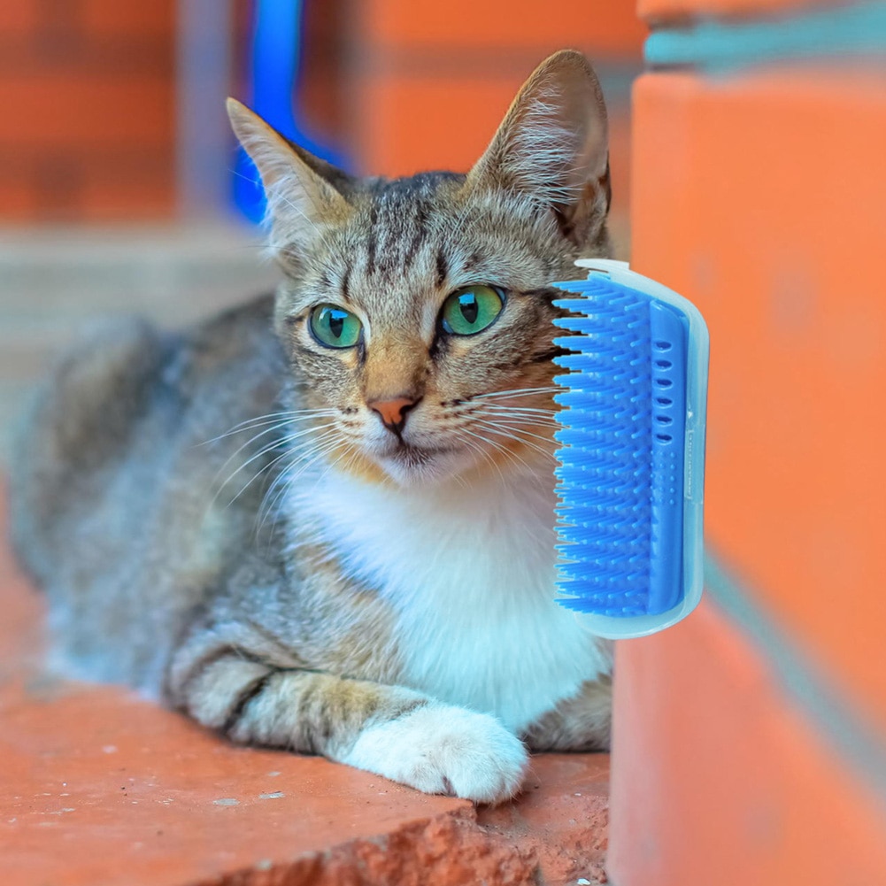Ontharingsmassagekam voor huisdieren, afneembare kattenhoekschraapborstel, wrijvingsborstel, verzorgingsproducten voor huisdieren, schoonmaakmiddelen