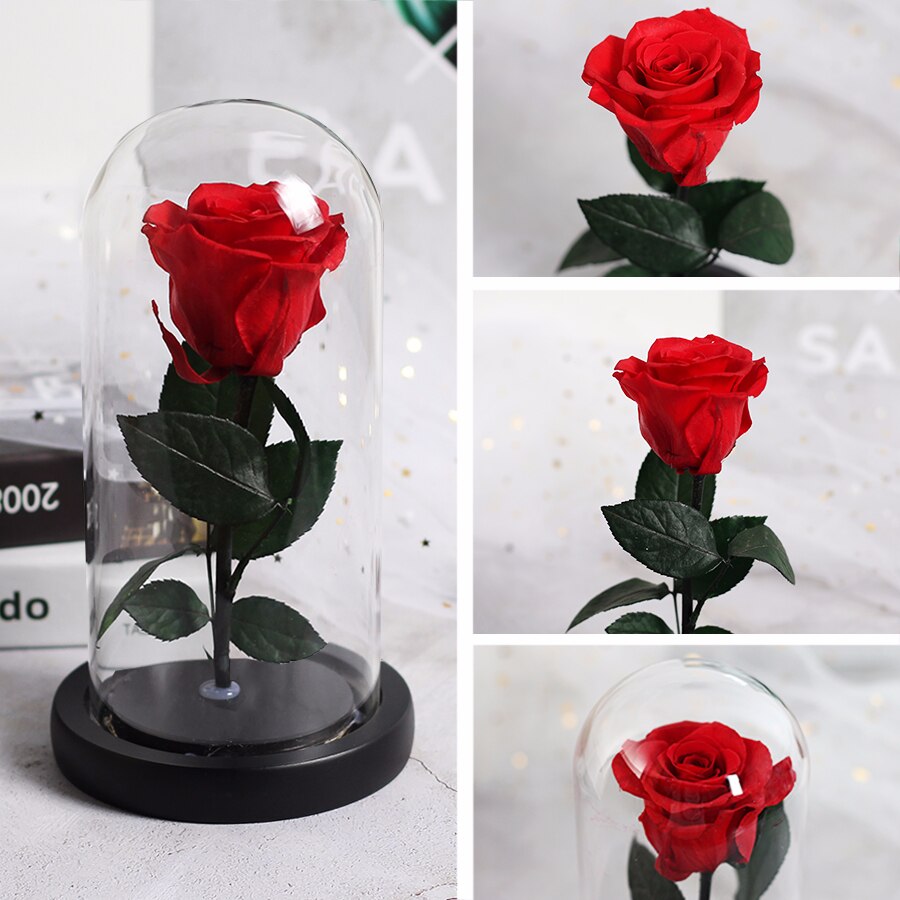 Skønheden og udyret evig rød rose i en glaskuppel med led lys sort base til valentins mors dag