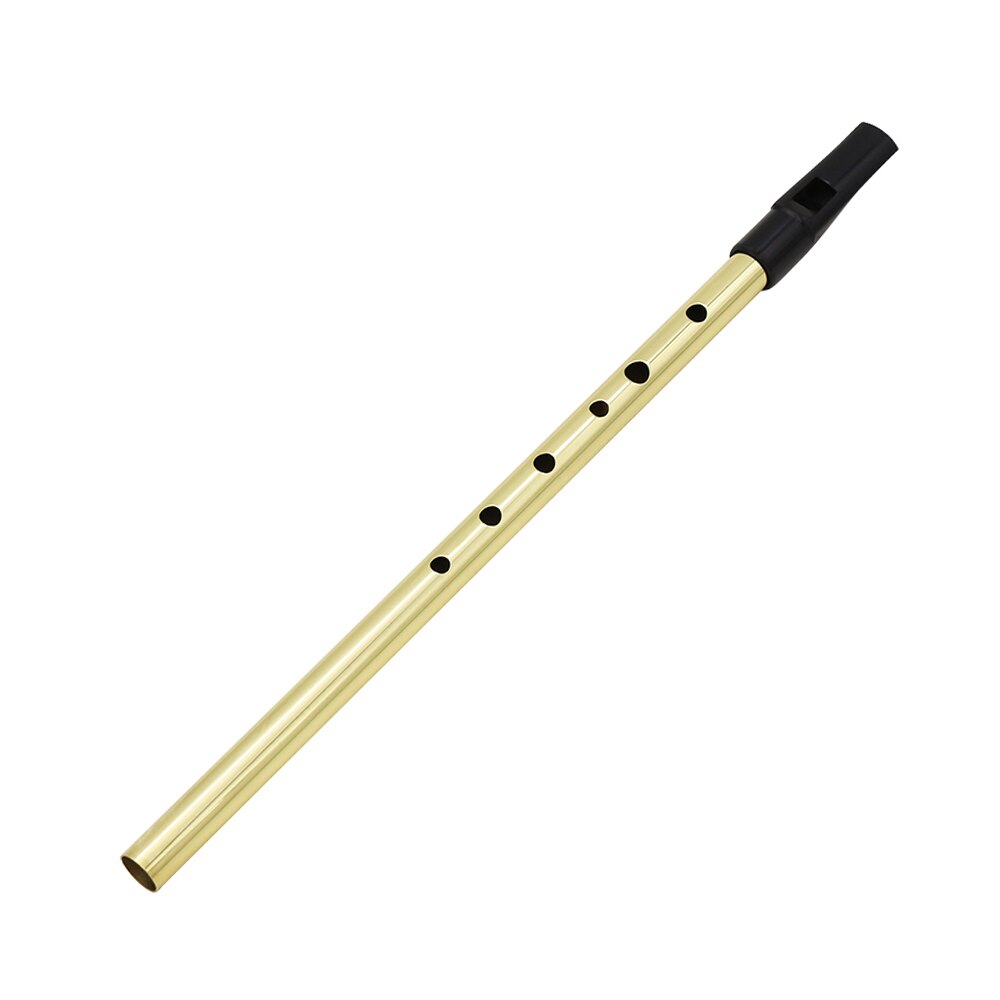 Deluxe Traditional Tin Penny Whistle 6 holes Wind Music Instrument Brass Key of D Blue: Gold
