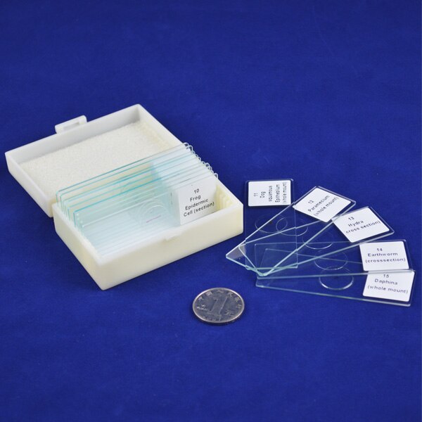 25 Stuks Microscoop Glas Slides Voorbereid Biologische Slides Cover Slips In Plastic Doos