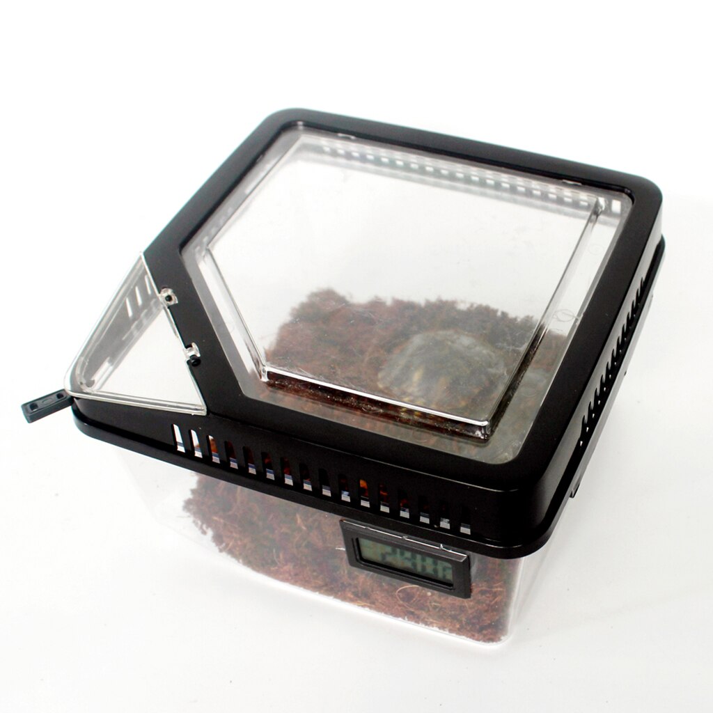 Pet Reptile Breeding Box Terrarium for Turtle Snake Lizard Spider Snake Frog: Black