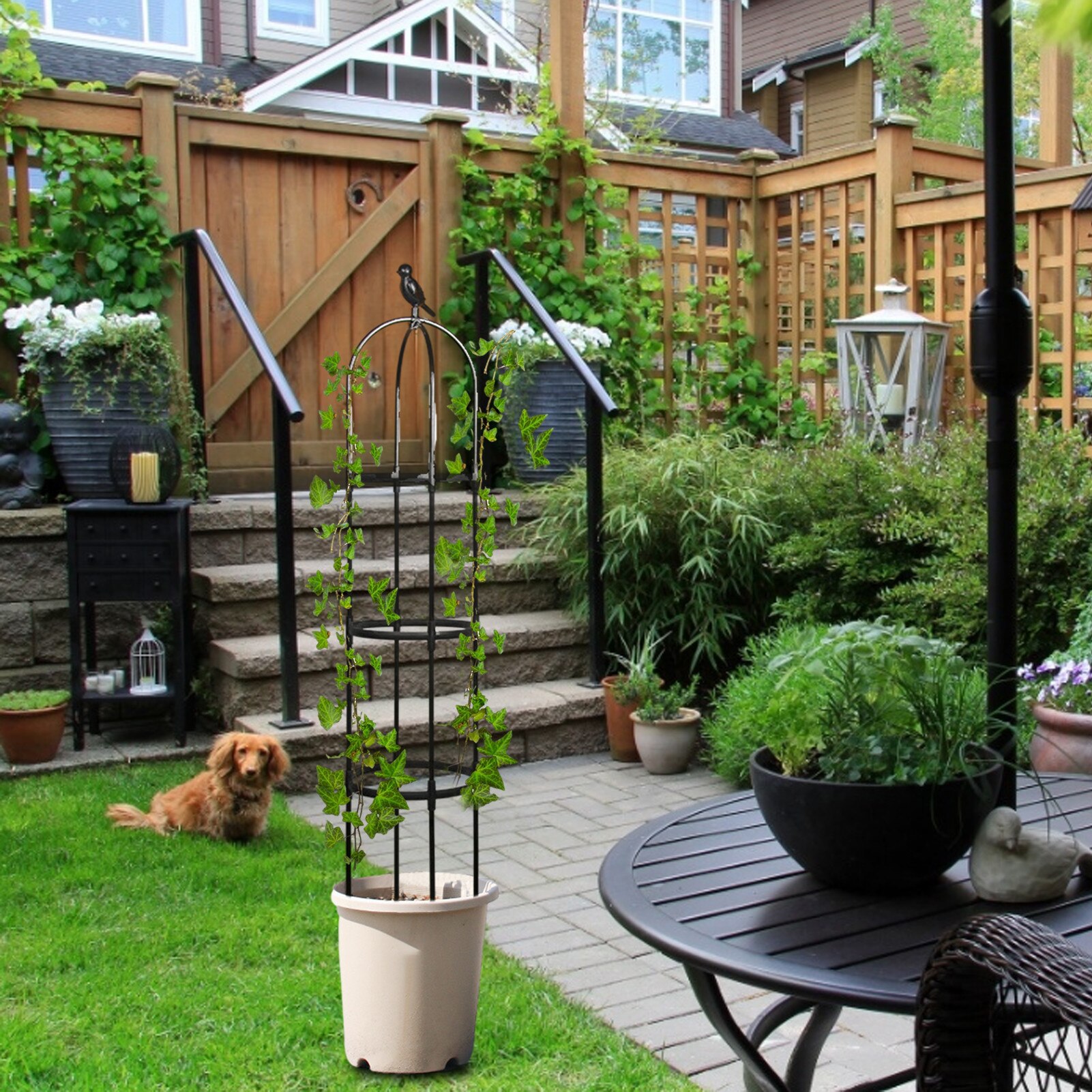 Hars Diy Tuin Trellis Obelisk Plant Stalen Frame Voor Klimmen Plant Verdikte Duurzaam Stand