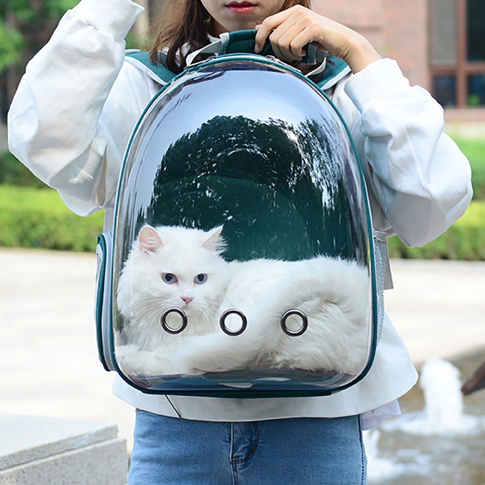 Backpack Carrier For Cat Chats Portable Pet Carrier Bag For Cat Small Dog Cat Carrier Backpacks Travel Space Capsule Cage