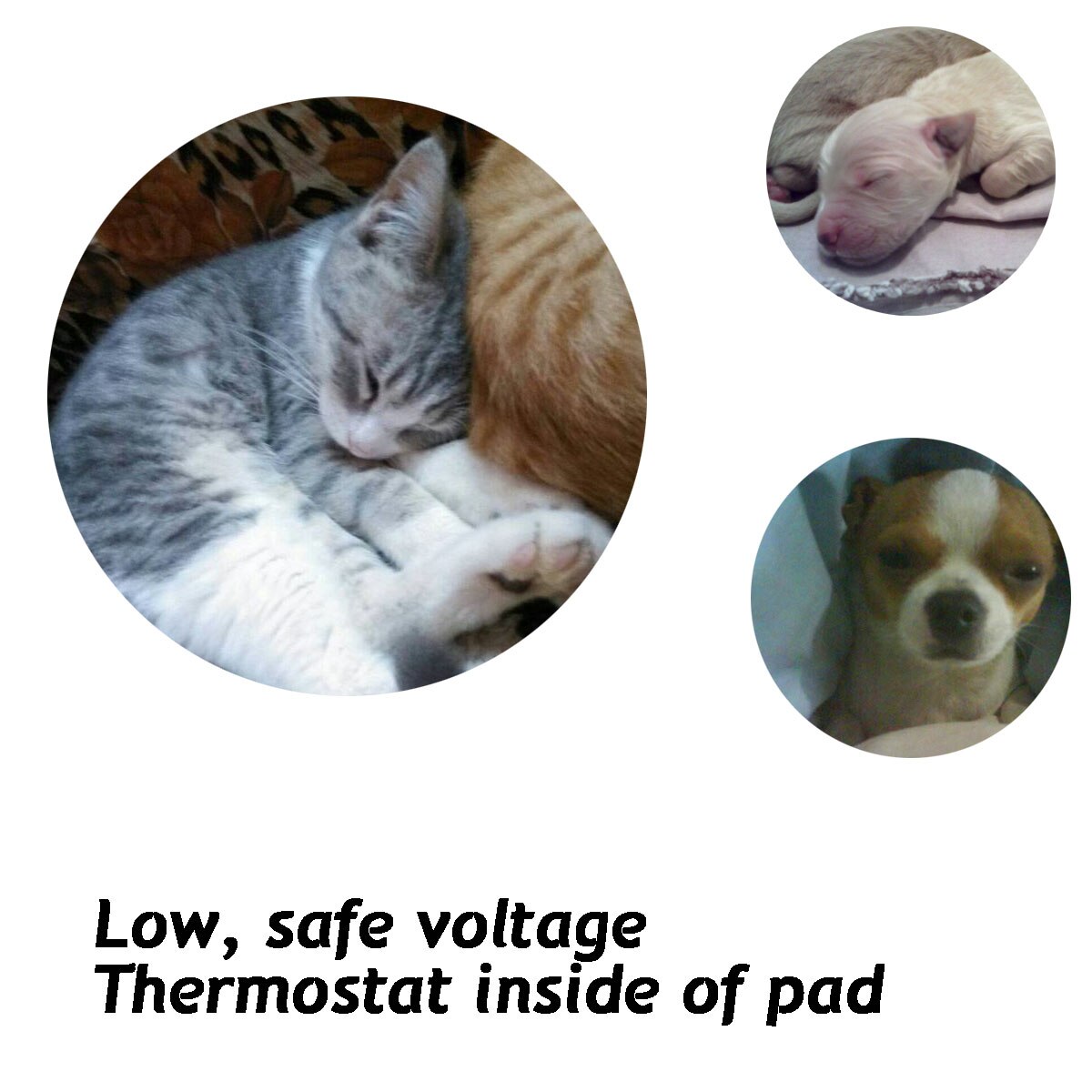 12V Haustier Heizkissen Elektrische Heizung Pad für Katzen und Hunde Wasserdicht Erwärmung matt Tiere Bett Heizung matt Heizung Pad