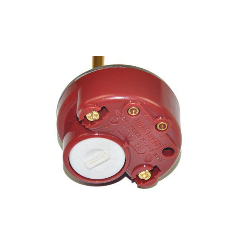 DN32 1 1/4" Water Heating Element With Thermostat 220V 1500W Immersion Heater With Temperature Controller