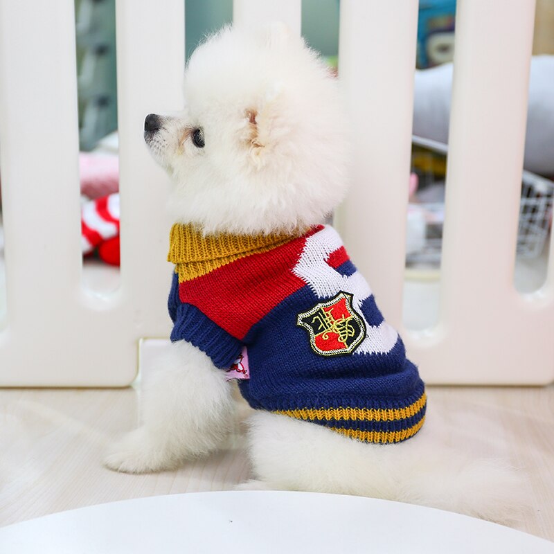 Petcircle hundkläder teddy fransk bulldog chihuahua bichon frise höst vinterkläder katt sällskapsdjur kläder 8th rock tröja