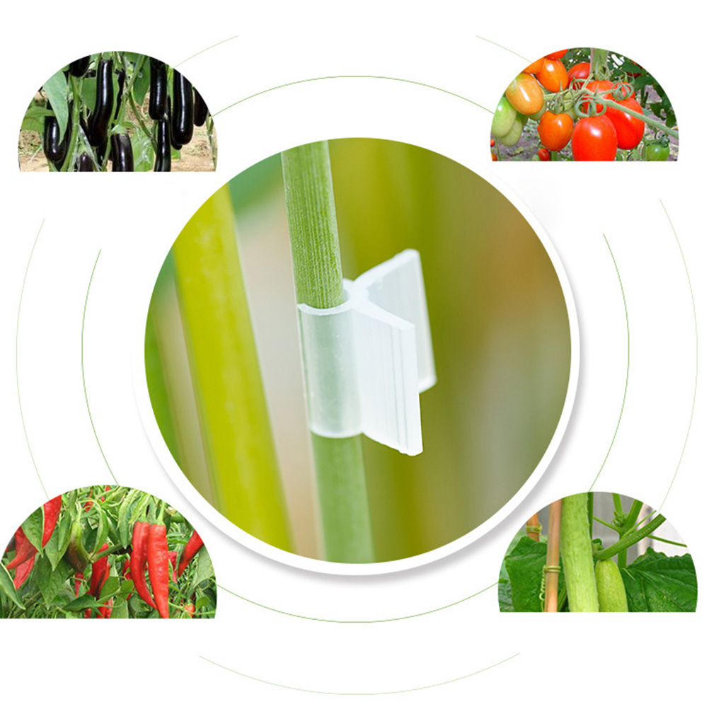 Clips de fijación de calibre para plantas, 2/3/4/5mm, para verduras, tomate, vid, tallos, soporte para cultivo, 200 Uds.
