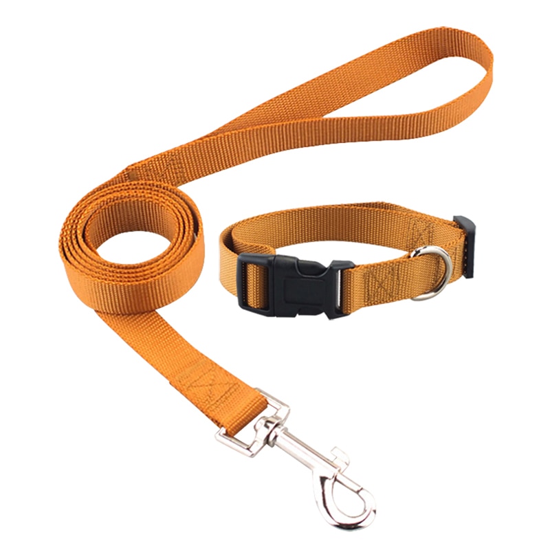 Klassiskt solid hundhalsband för hundar i nylon för små medelstora hundar kan matcha koppel och sele med snabbsnäppspänne